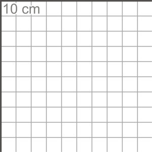 grid_10cm.JPG