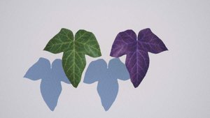 23ivy1.jpg (20.73 KiB) Viewed 16446 times 23ivy1.jpg