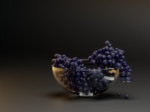 grapes2.jpg