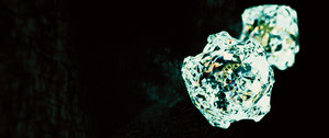 Diamonds_and golds_at butane's flame light_3.jpg