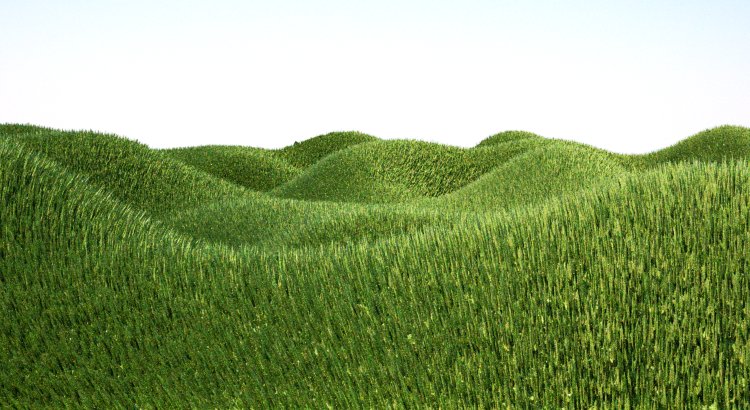 disp_grass.jpg