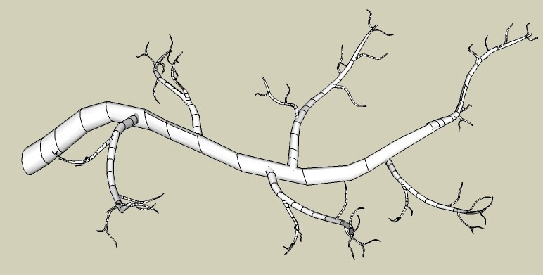 branch no text.jpg