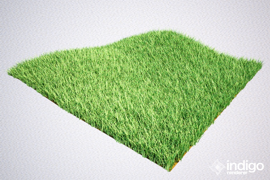 100304_simple_grass_example.jpg