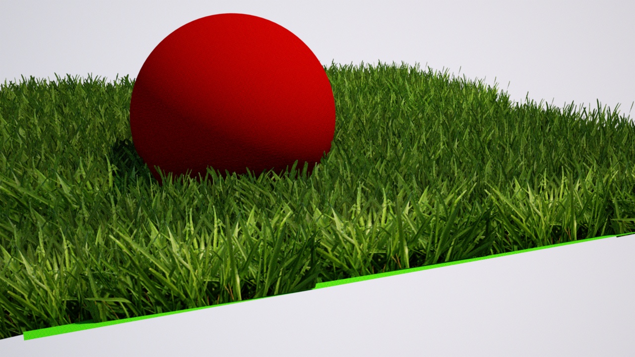 grass.jpg