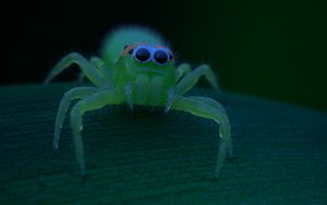 spidy_5407spx_06.jpg