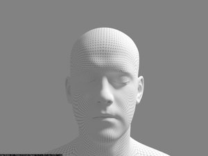 wire_subdiv.jpg