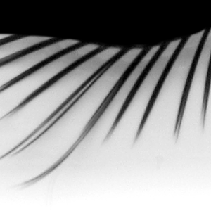 glare_obstacle_e_1.png