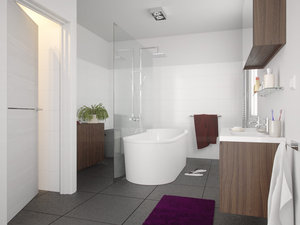 bathroom 3 small test.jpg