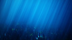 waterthing_final3.jpg