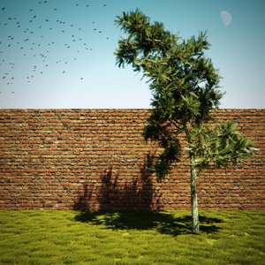 test_albero.jpg