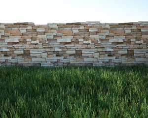 Grass3.jpg