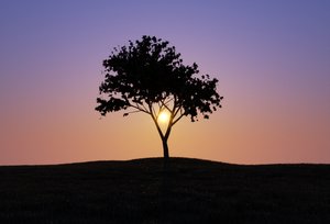 Sunset.jpg
