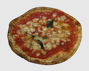 wired pizza.jpg