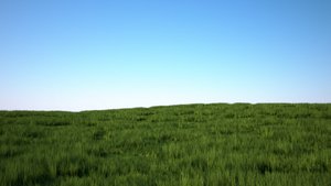 177.jpg