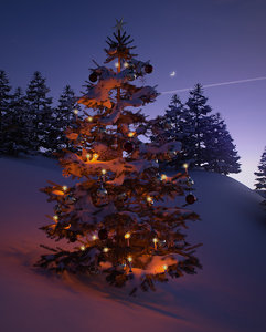 weihnachten1.jpg