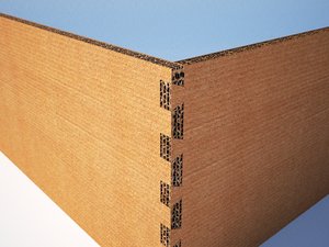 Cardboard1.jpg