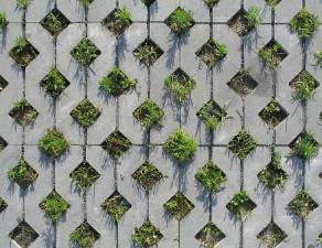 FloorsVarious0011_1_thumblarge[1].jpg