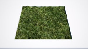 grass_long.jpg