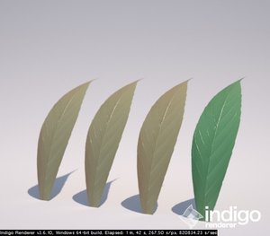 C4D-Indigo_texture test.jpg