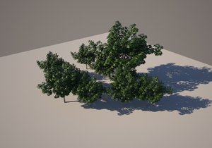 Trees3.jpg