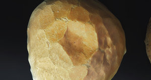 Studio_Food_10 (0;00;00;00).jpg