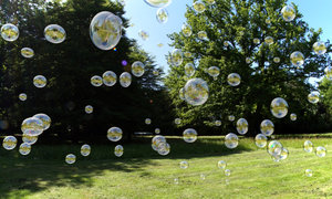 bubbles.jpg