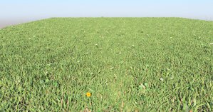 3d grass4-PNG2.jpg