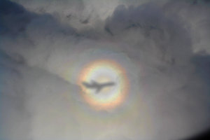 Glory (optical phenomenon).jpg