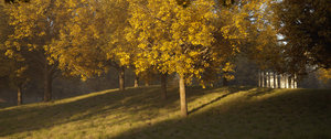double_sided_thin_test_3.8.33_SS4.jpg