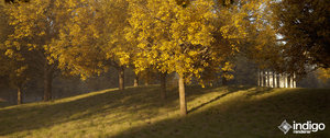 double_sided_thin_test_4.0.31_SS10.jpg