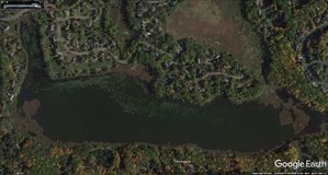 google-earth-aerial-all-of-silver-lake.jpg