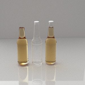 Bottle test BiDir.jpg