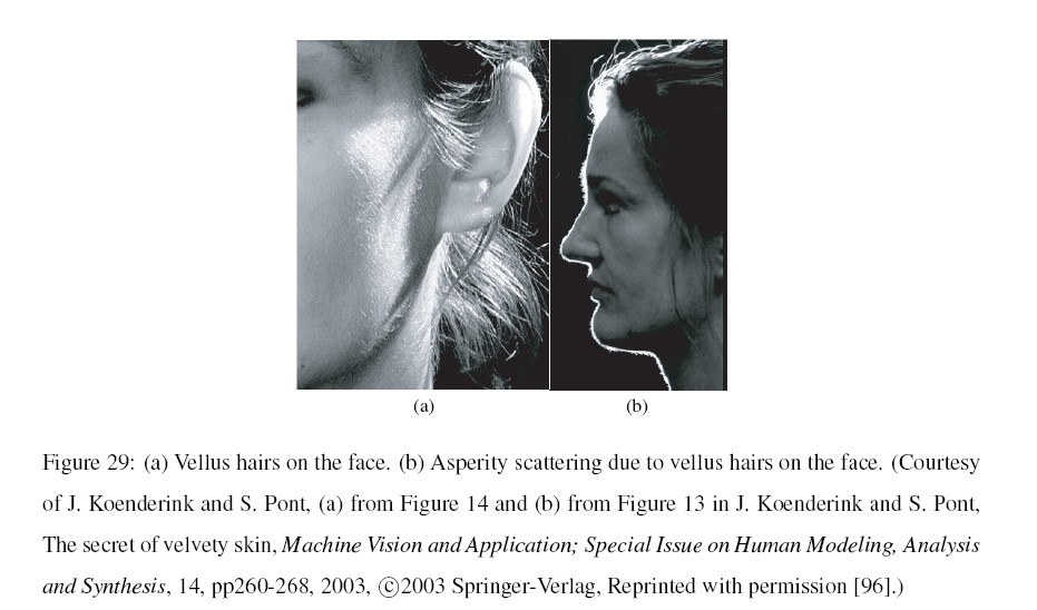asperity.jpg