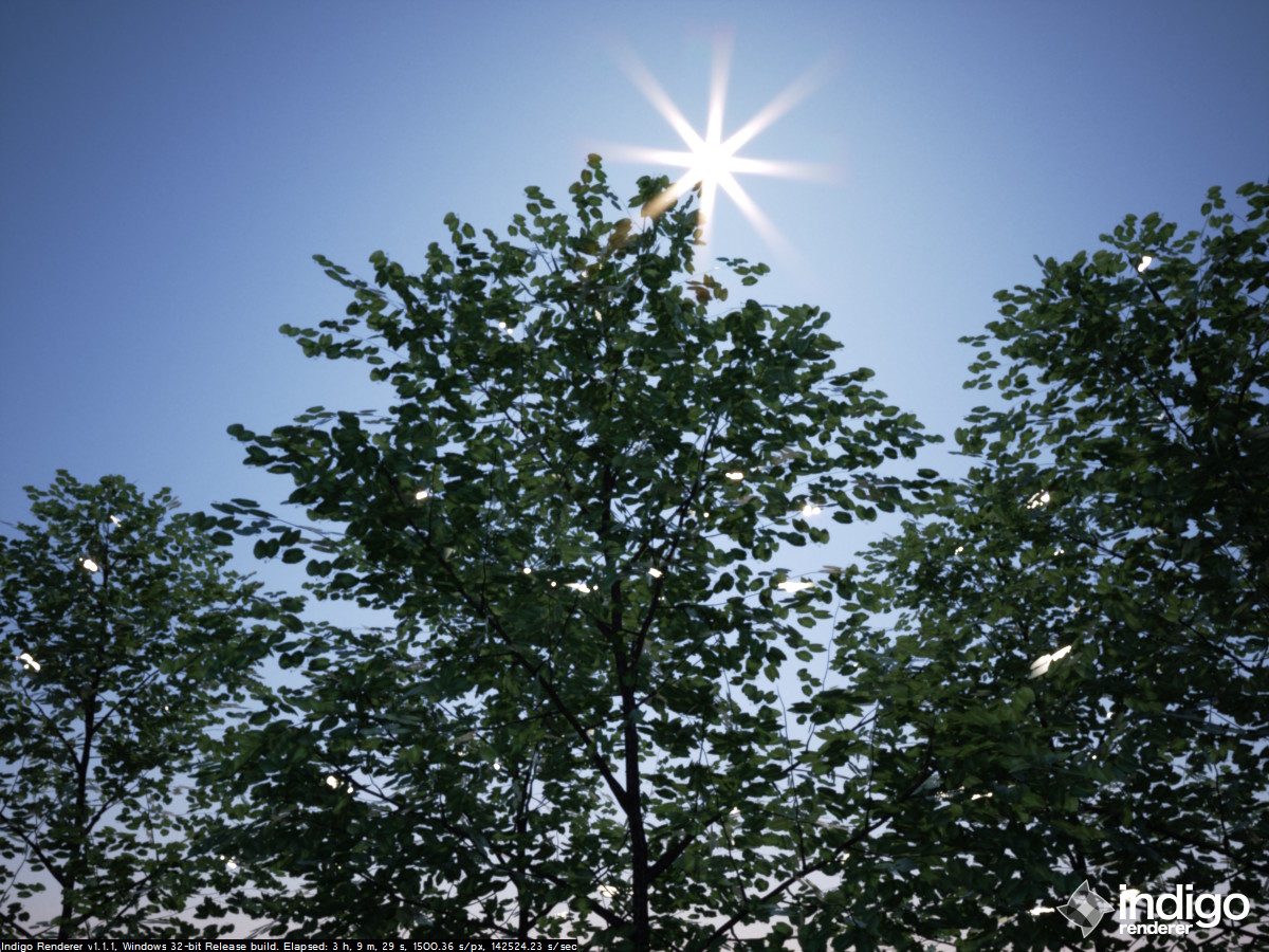 tree2.jpg