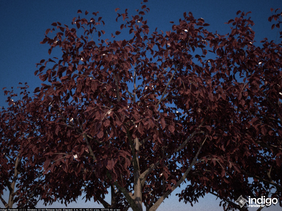 trees6.jpg
