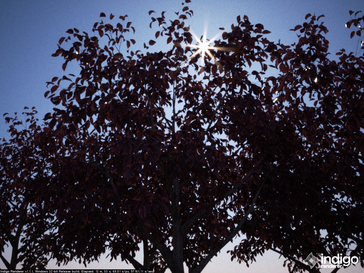 trees7.jpg