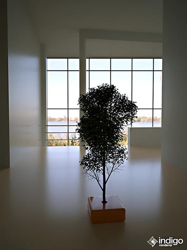 OrangeTree_512.jpg