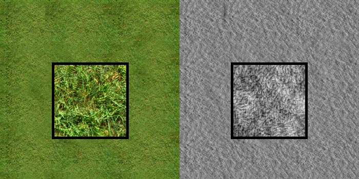 grass-01.jpg