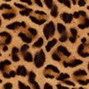 Texture_01.png