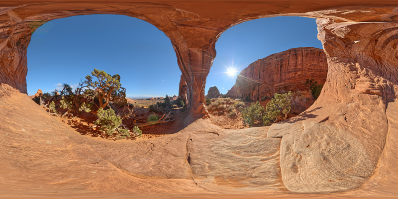 Arches_E_PineTree_sample.jpg