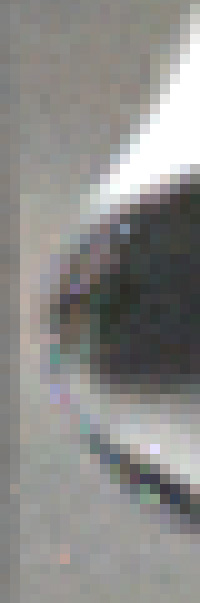 064.jpg