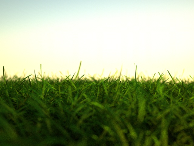 grass_001.jpg