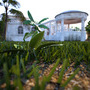 Palm View Villa IV 