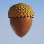 acorn