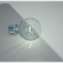 bulb