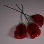 glassroses