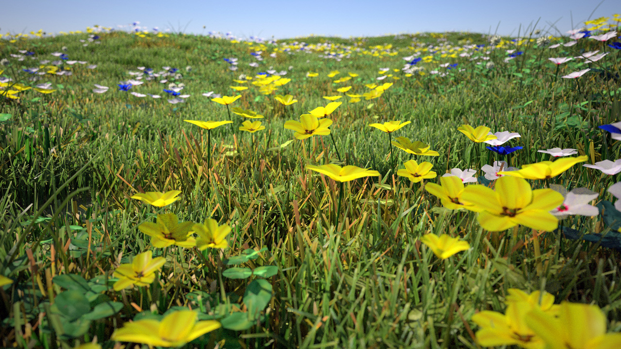 spring meadow