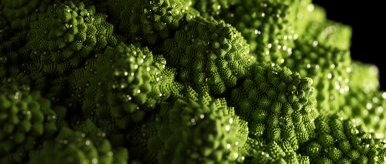 Romanesco [4K]