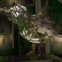 wirebird_153